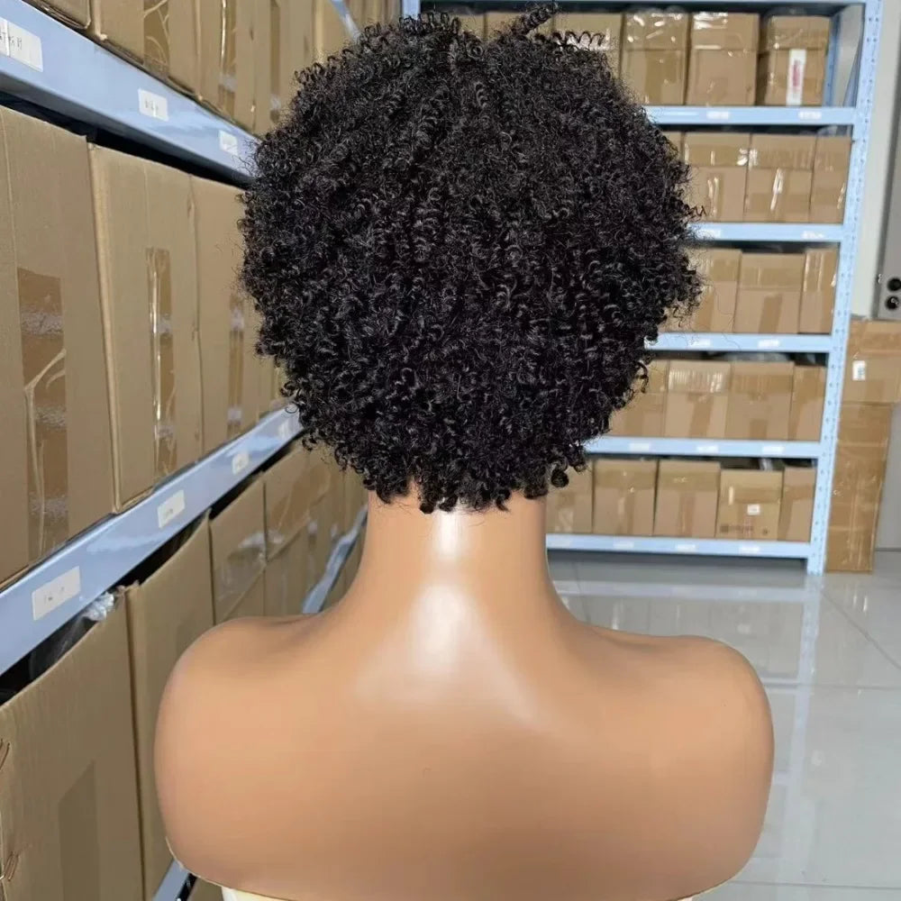 100% Human Hair Afro Kinky Curly Full Machine Short Wigs High Quality Brazilian Virgin Hair Wig For Black Women Daily Use